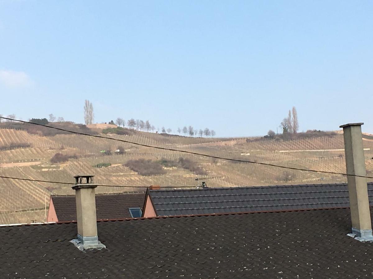 Gite Faubourg Des Pierres Sigolsheim Exterior photo